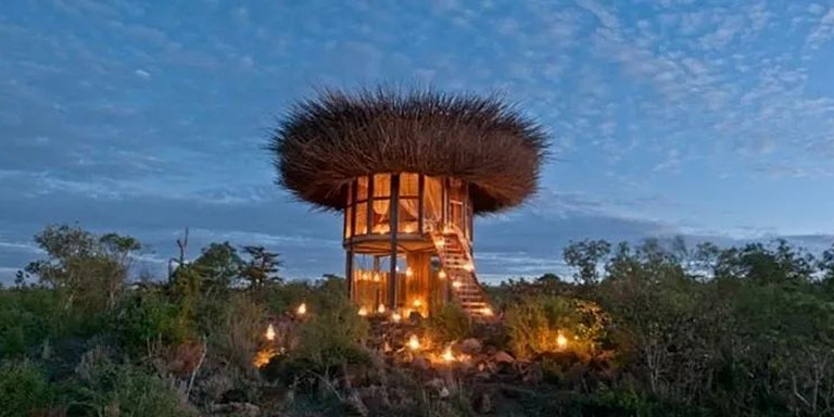 肯尼亚建世界上首个五星级的“鸟巢酒店” 无死角观美景